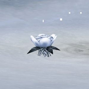 ネジューアLv380